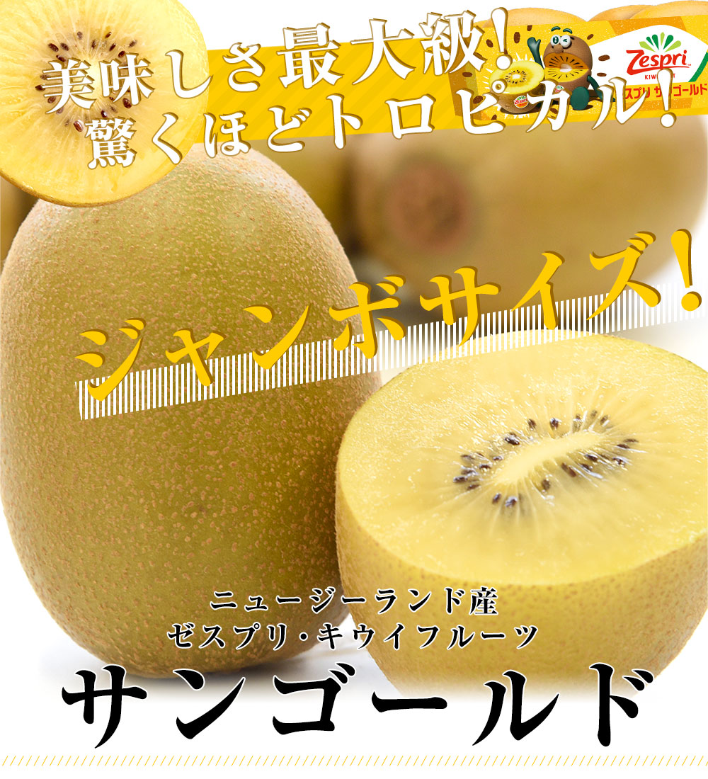 ゴールドキウイフルーツ10kg(中玉112g〜129g)