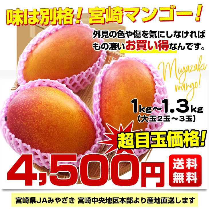 食品宮崎県産 完熟マンゴー  4k ばら チルド