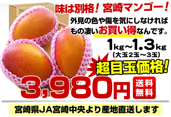 宮崎県より産地直送 Ja宮崎中央 訳あり宮崎マンゴー 1キロから1 3キロ箱 2玉から3玉 送料無料 産直だよりの通販 お取り寄せなら ぐるすぐり