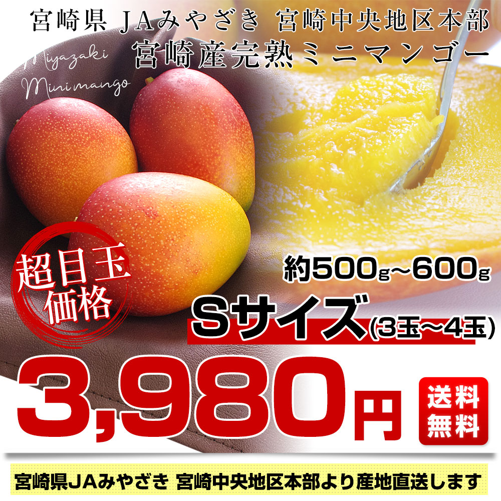 鹿児島県産ミニマンゴー5kg送料込み - 果物