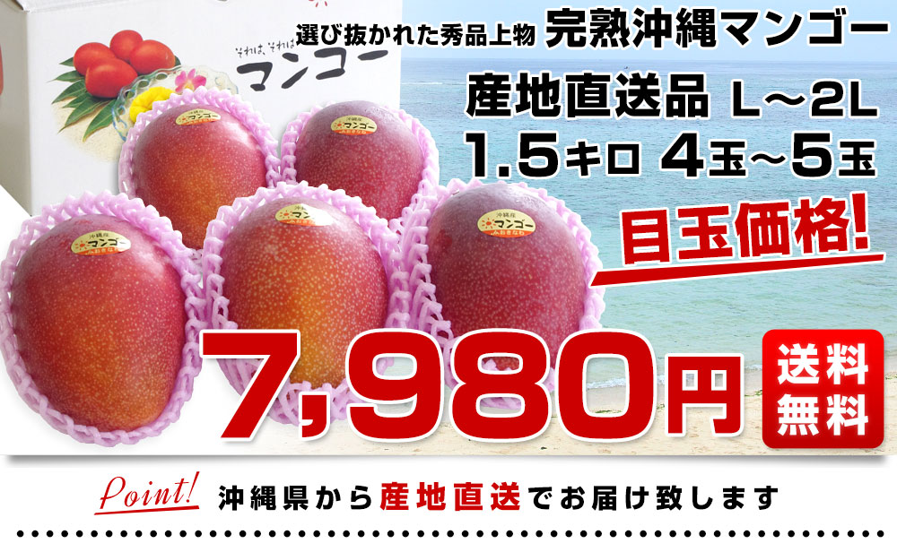 沖縄県より産地直送 JAおきなわ 完熟沖縄マンゴー 秀品 1.5キロ (4玉から5玉入り) 送料無料 まんごー アップルマンゴー-産直だより