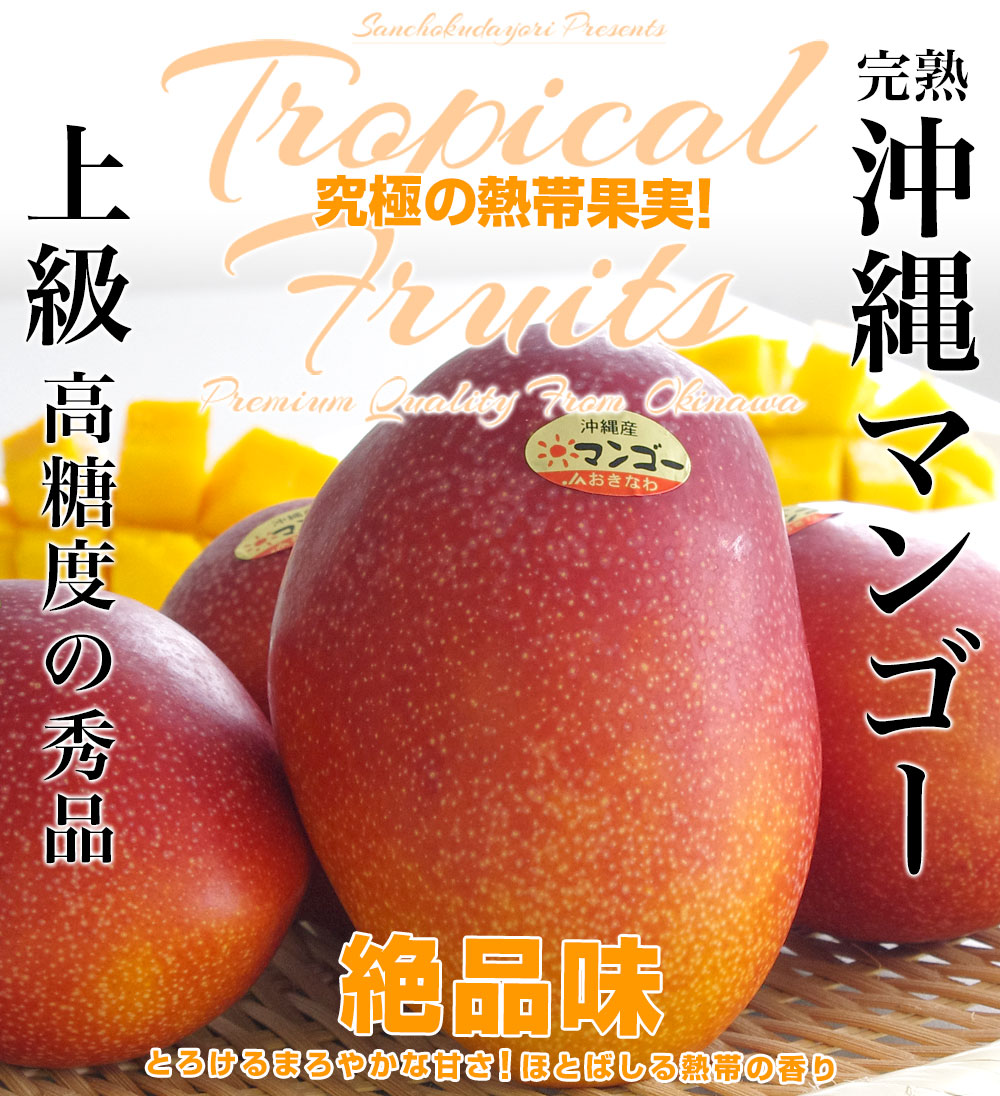 本日20時まで！！沖縄県産マンゴー 2.2Kg超え今年は8月ごろになります