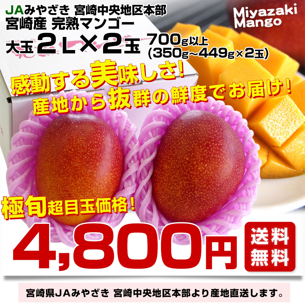 そらっちさま専用出品　宮崎産　完熟マンゴー果物の種類マンゴー