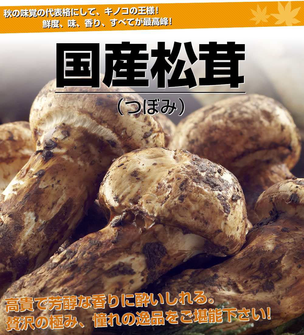 4L超特大 秀品【天然 つぼみ 松茸 1kg】本数4本 中国産 - 野菜