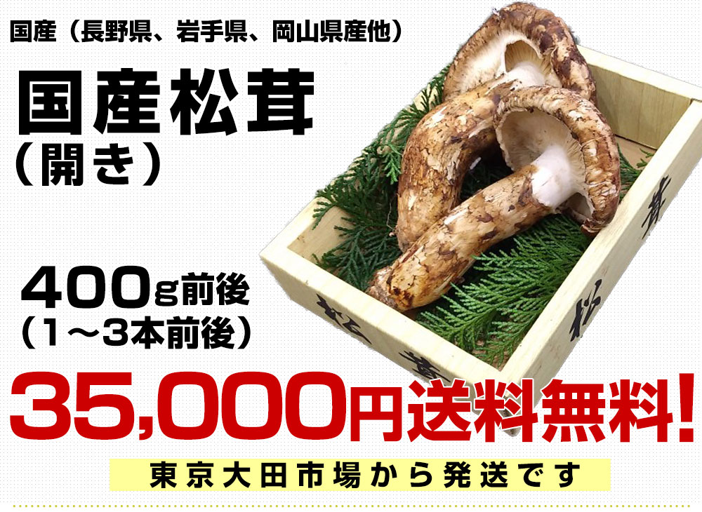 65%OFF【送料無料】 国産松茸(長野県)3本 約300g - 野菜