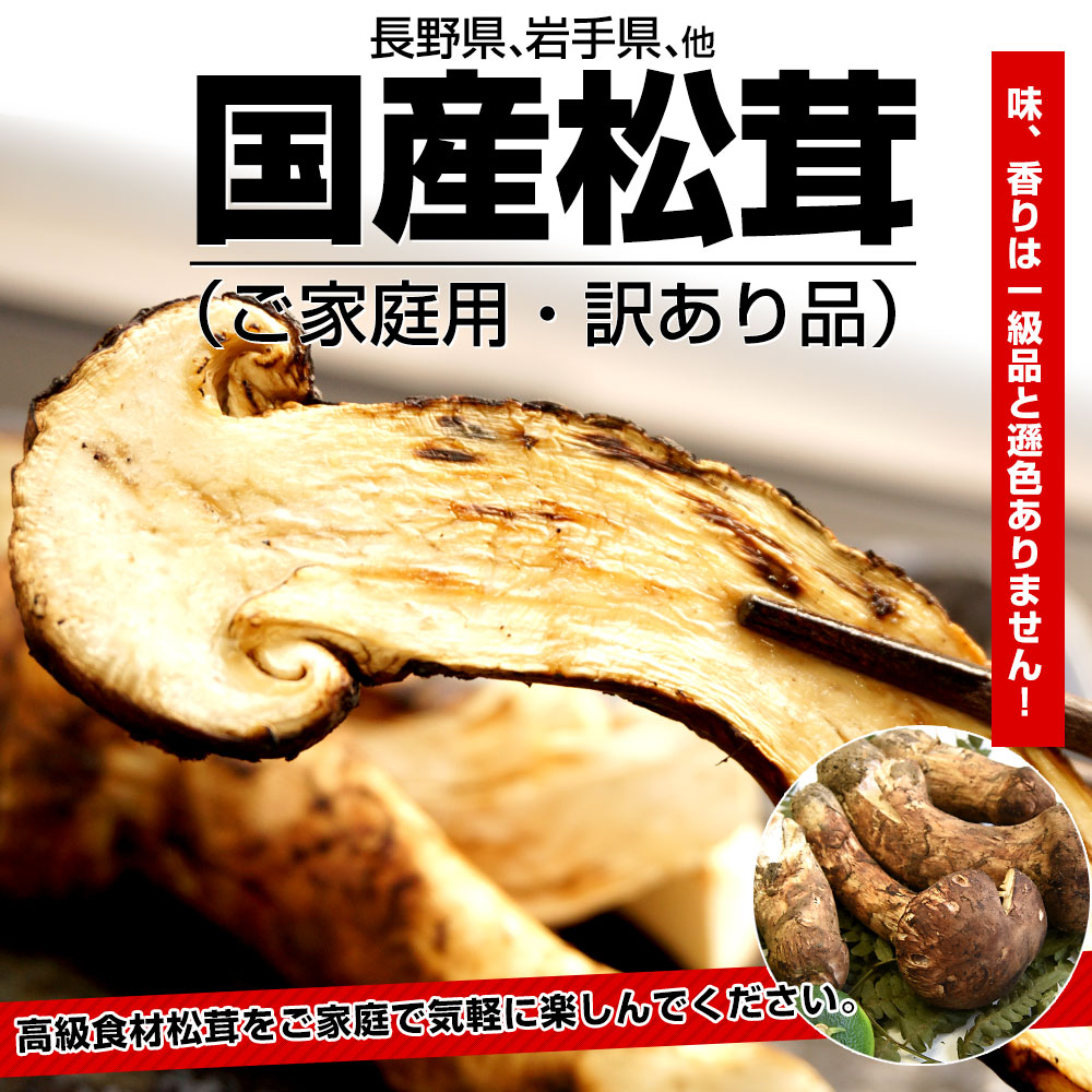 国産松茸（ご家庭用・訳あり品）身の割れ、欠け、規格外含む 200g以上 