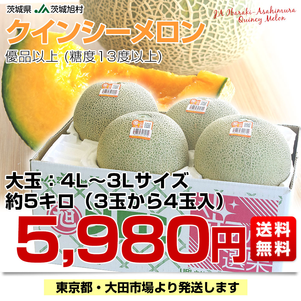 22 【茨城県産】イバラキング(青肉メロン)　 約5.5キロ　3L 4玉