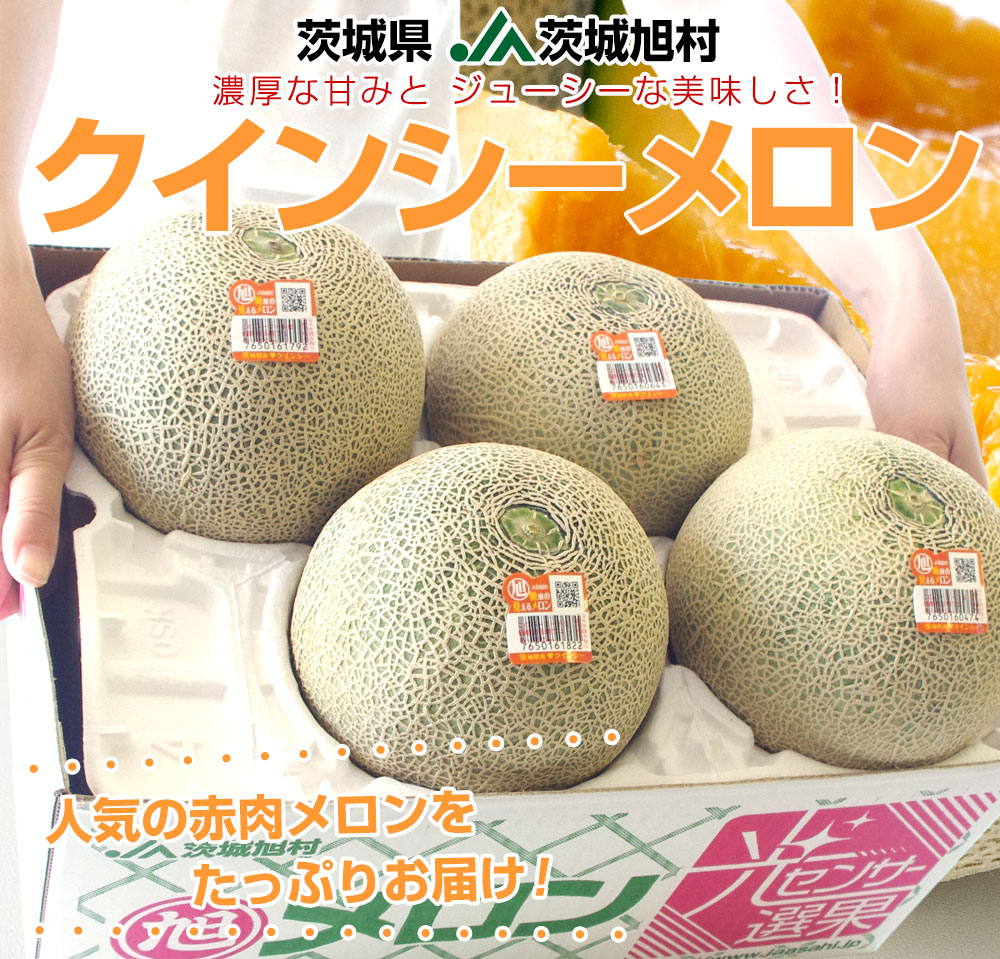 茨城県産 JA茨城旭村 オトメメロン A品 4Lから3Lサイズ 5キロ箱 (3玉 