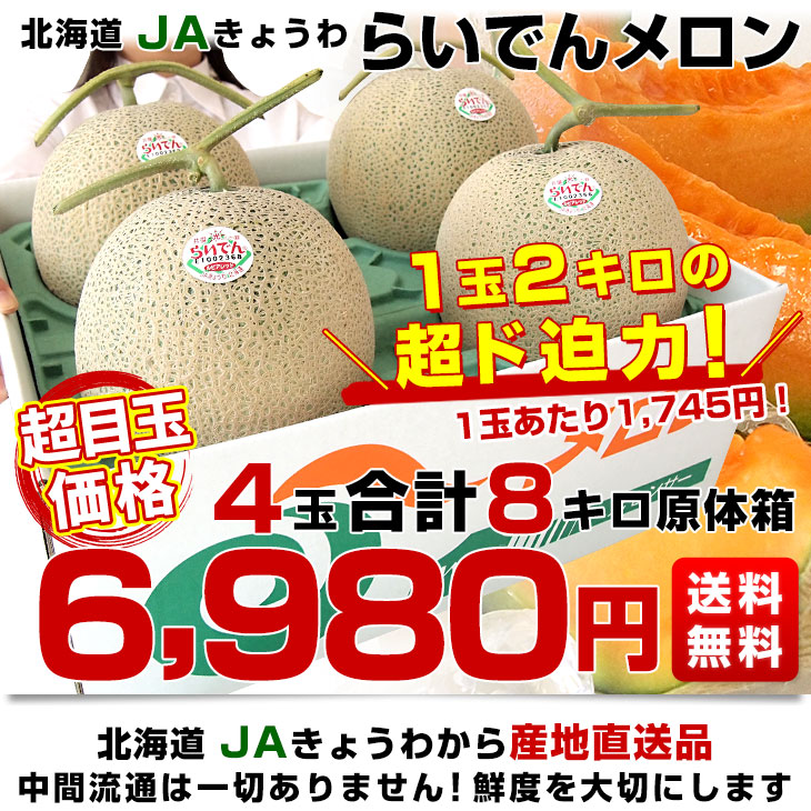 ４キロ超保証！　愛媛県産　キウイフルーツ