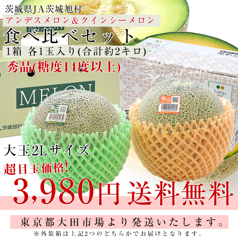 茨城県産 JA茨城旭村 アンデスメロン＆クインシーメロン 秀品 2玉