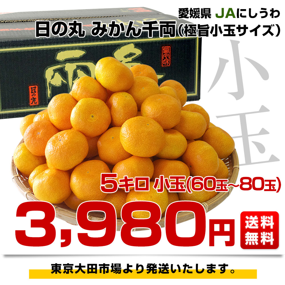 愛媛県産 JAにしうわ 日の丸みかん 千両 極旨小玉サイズ 5キロ（60玉 