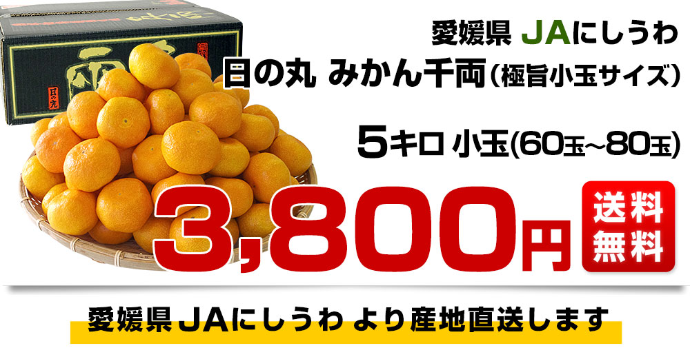 愛媛県より産地直送 Jaにしうわ 日の丸みかん 千両 極旨小玉サイズ 5キロ 60玉から80玉 蜜柑 ミカン 送料無料 産直だよりの通販 お取り寄せなら ぐるすぐり