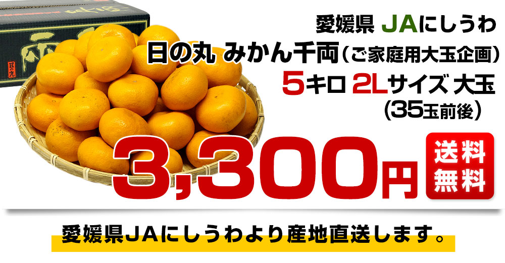 愛媛県産 Jaにしうわ 日の丸みかん 千両 2lサイズ 約5キロ 35玉前後 蜜柑 ミカン 送料無料 すべての商品 産直だより