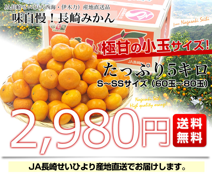 みかん　葉付き　約6.5キロ　約36玉入り　2Lサイズ　贈答品　長崎県産フルーツ