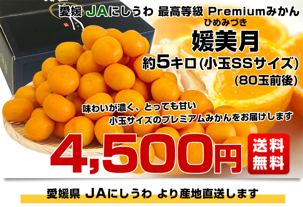 愛媛県より産地直送 JAにしうわ 西宇和プレミアムみかん「媛美月」小玉