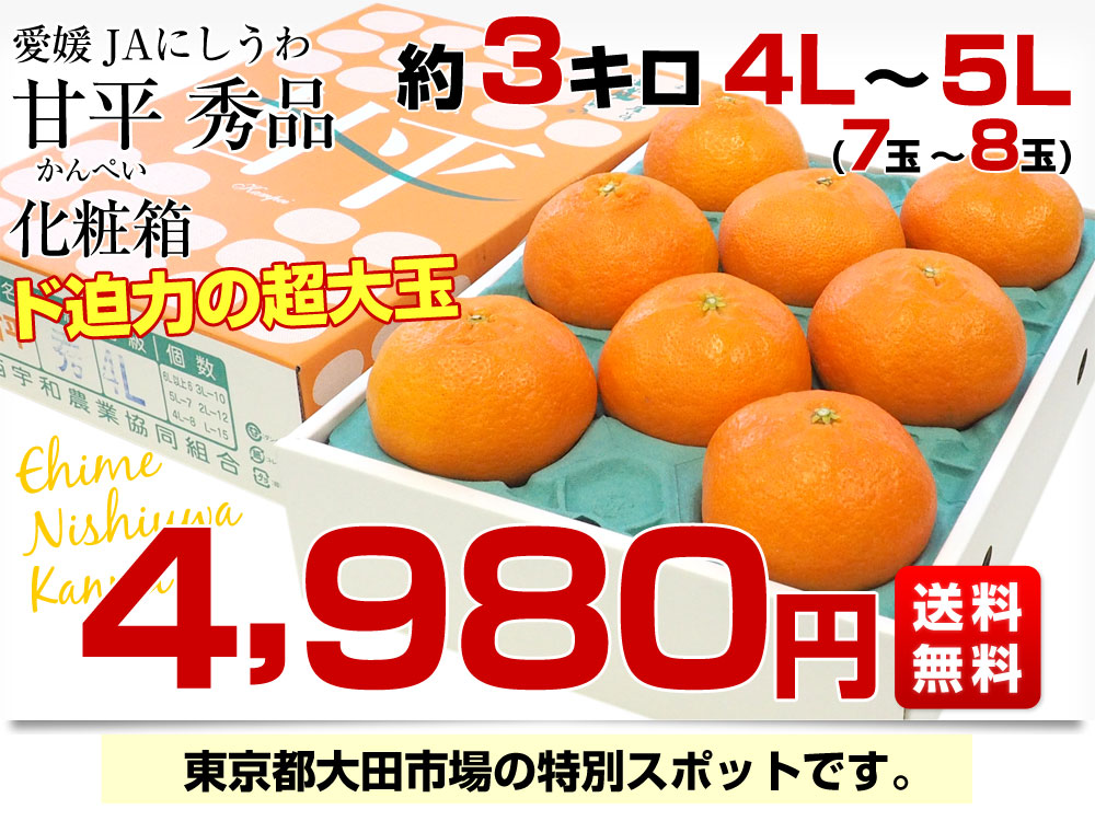 送料無料 愛媛県産 JAにしうわ 甘平 超大玉４Lから５L 秀品 約3キロ（7