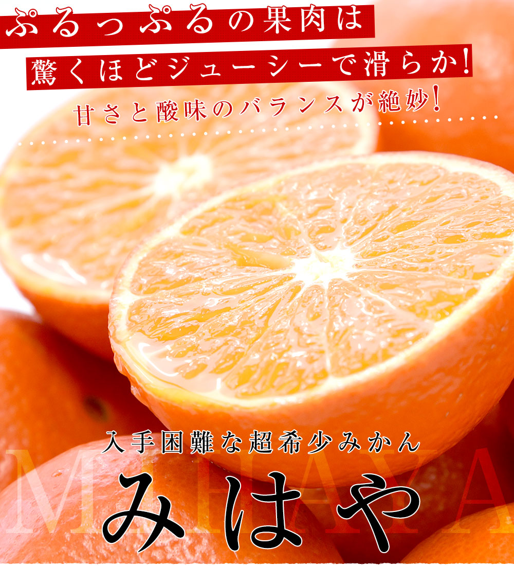 佐賀県産 JAからつ みはや 約5キロ 秀品2LからSサイズ（24玉から46玉前後） 送料無料 市場発送 みかん 柑橘-産直だより