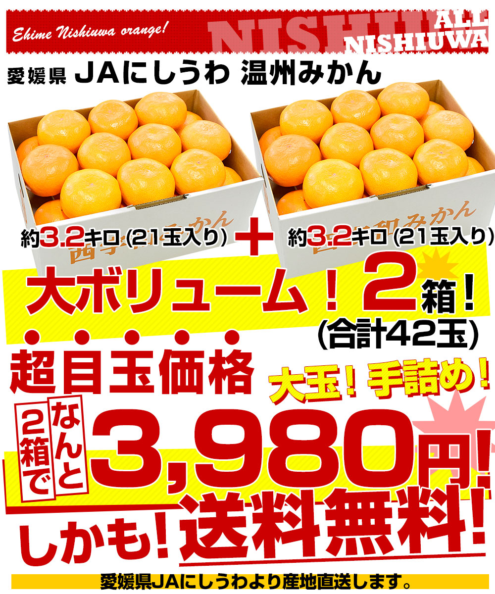 愛媛県より産地直送 Jaにしうわ 西宇和温州みかん 2lサイズ 約3 2キロ 手詰め21玉 2箱 送料無料 みかん ミカン 蜜柑 愛媛県から産地直送 Jaにしうわ 産直だより