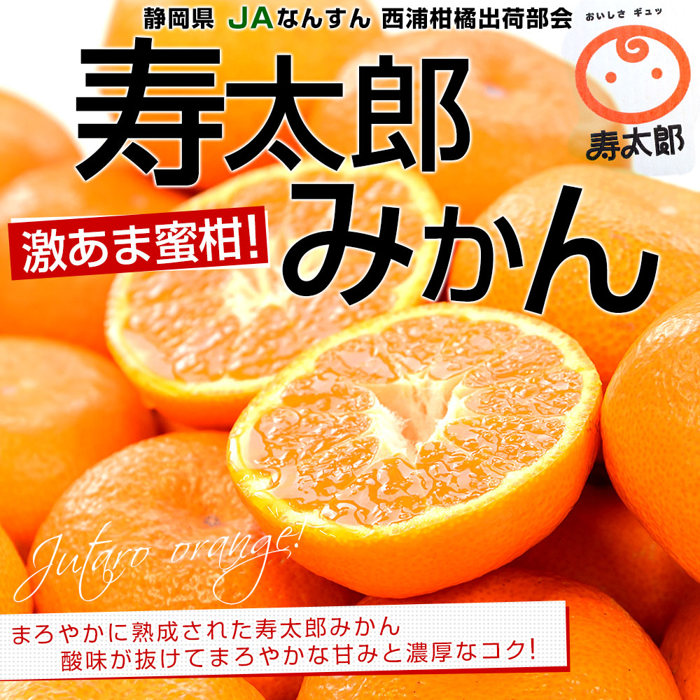 静岡県産 JAなんすん 西浦柑橘出荷部会 寿太郎みかん 約2.5キロ LからM 