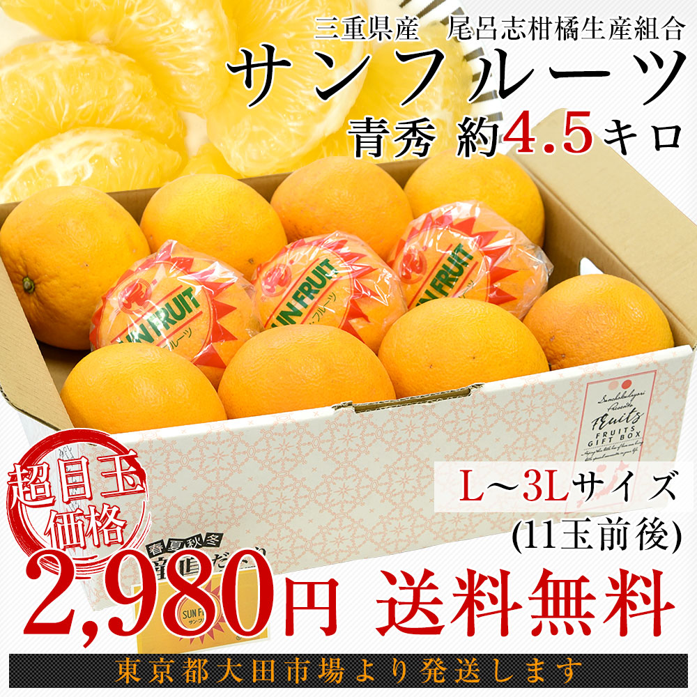 三重県産 尾呂志柑橘生産組合 サンフルーツ 青秀 約4.5キロ Lから3Ｌ 