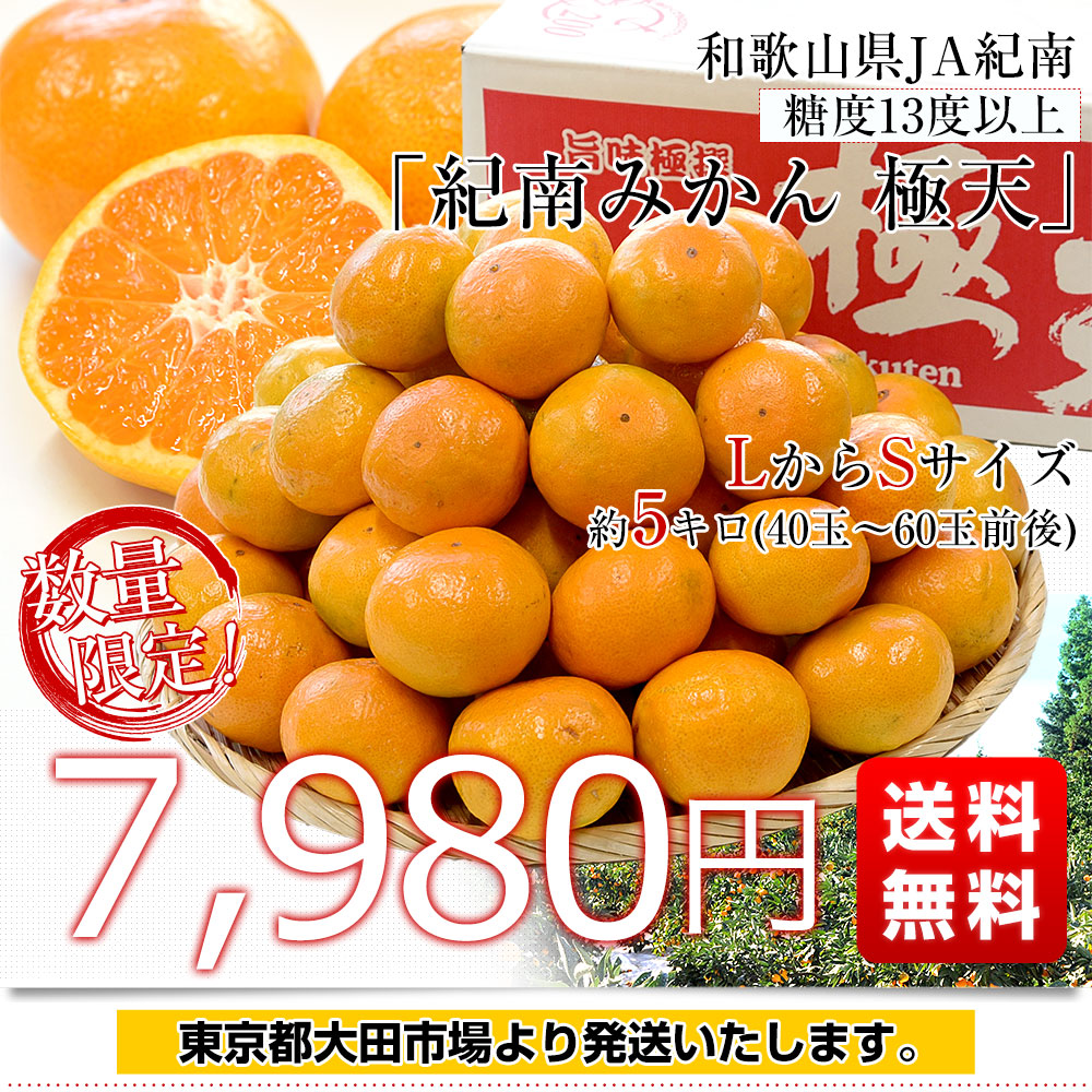 天然 ノビル 野蒜 洗浄済み 採れたて 天然野菜500g以上 - 野菜