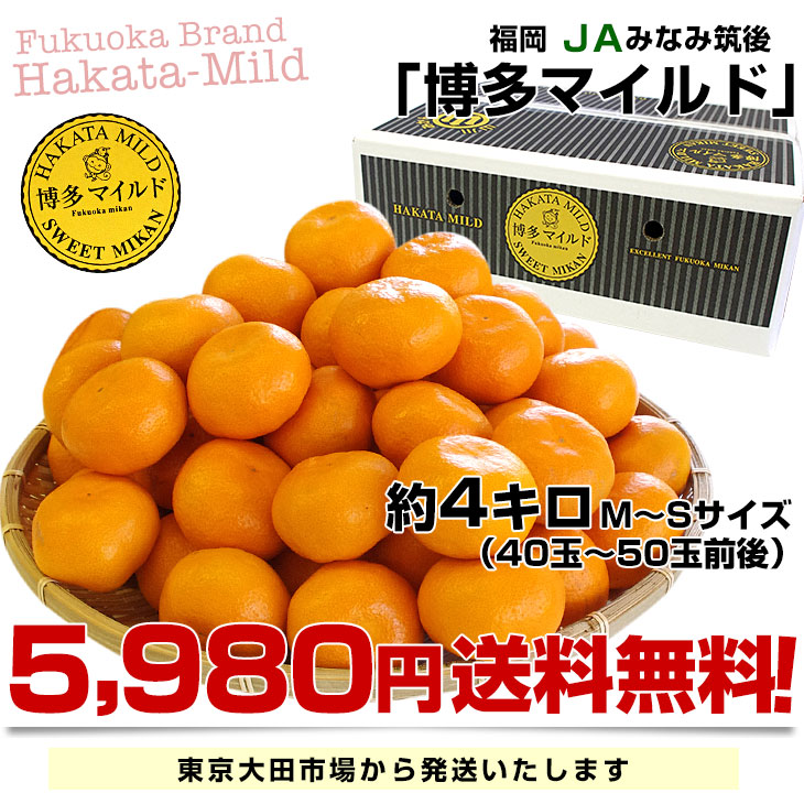 福岡県産JAみなみ筑後 博多マイルド MからSサイズ 約4キロ（40玉から50 