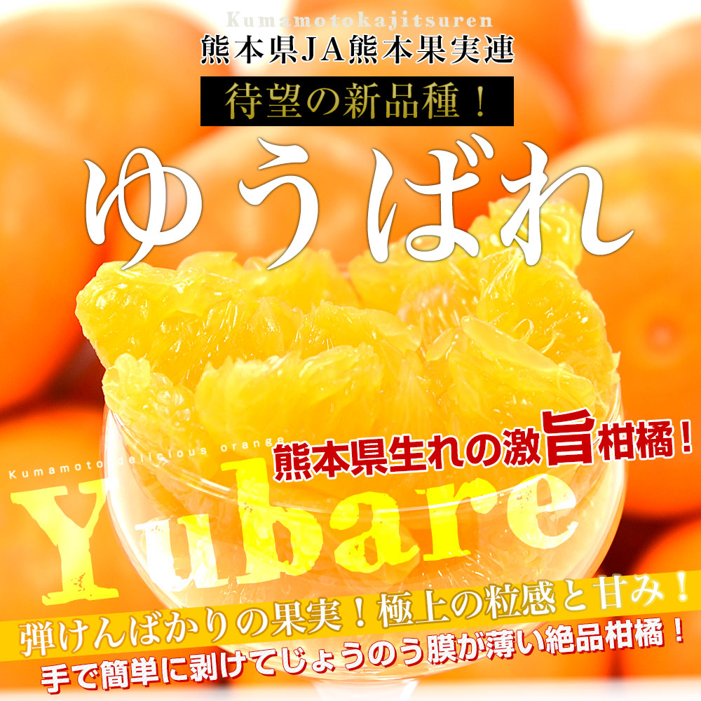 熊本県産 はるかみかん 3L 10キロ - 果物