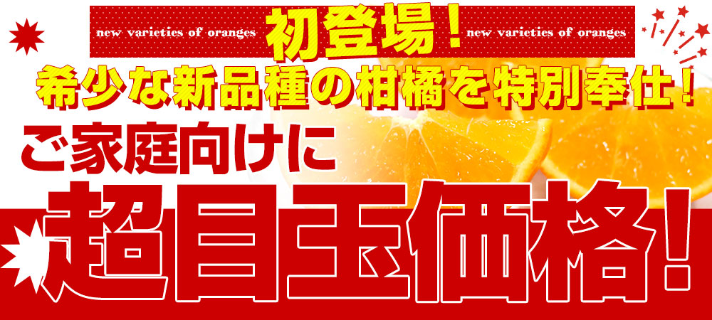 熊本県産 JA熊本果実連 新品種柑橘 ゆうばれ ご家庭用 約2.5キロ Mから