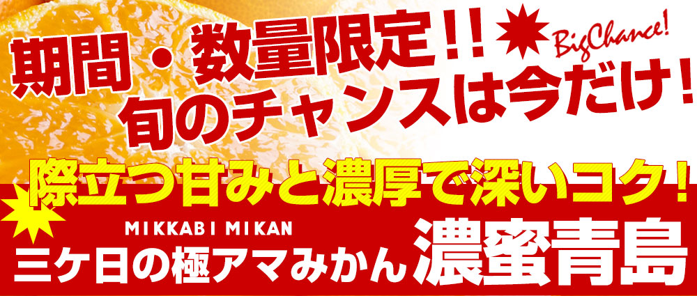 静岡県産 JAみっかび 三ヶ日みかん 濃密青島 3Lサイズ 優品以上 約3.5