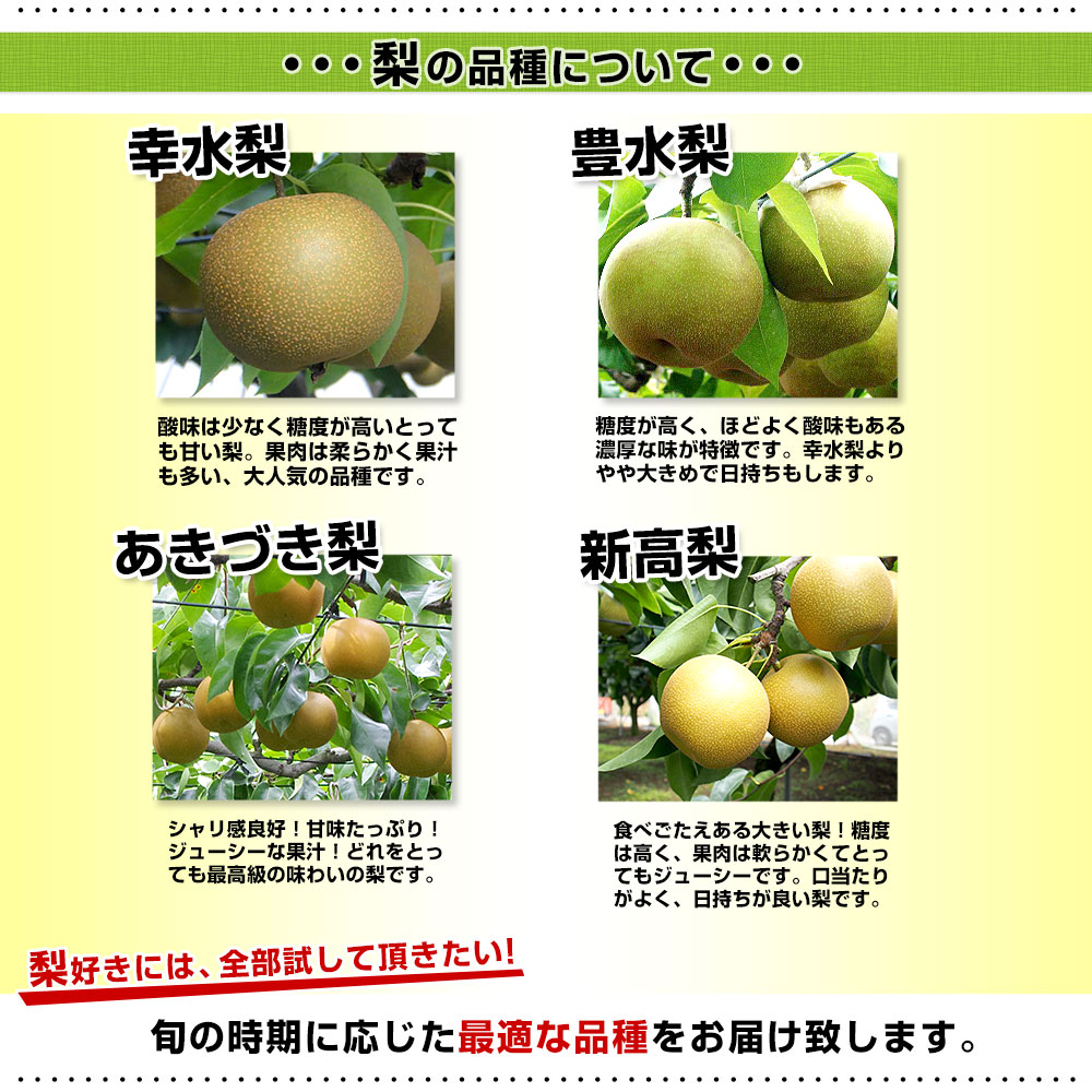 梨の品種紹介