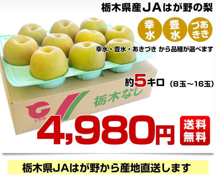 栃木県より産地直送 JAはが野 品種が選べる 梨 (幸水、豊水、あきづき) 優品以上 約5キロ (8玉から16玉) なし ナシ 梨 送料無料 |  栃木県から産地直送,JAはが野 | | 産直だより