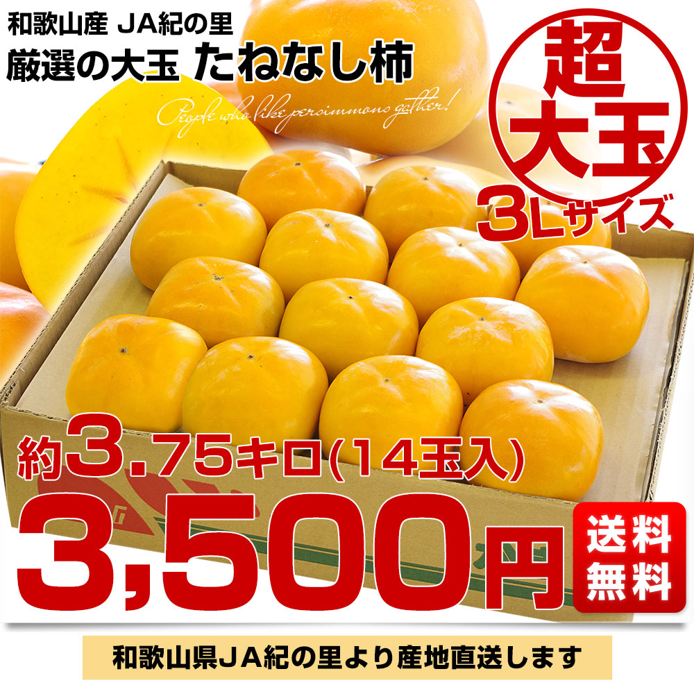 和歌山県より産地直送 JA紀の里 たねなし柿 大玉3Lサイズ 約3.75キロ(14玉入) カキ かき 柿 送料無料 和歌山県産フルーツ,JA紀の里  産直だより