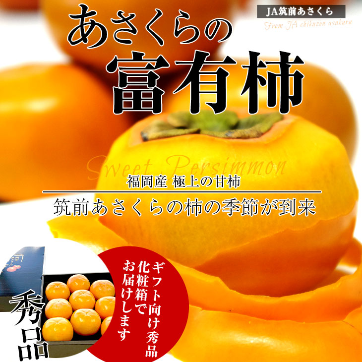 福岡県より産地直送 JA筑前あさくら あさくらの富有柿 (甘柿) ギフト