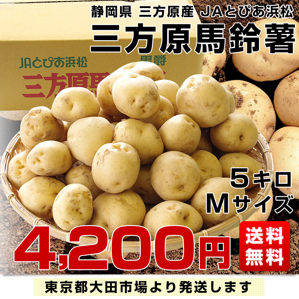 ジャガイモ　静岡県産　ばれいしょ　JAとぴあ浜松　市場発送商品　送料無料　三方原馬鈴薯（男爵）　Ｍサイズ　じゃがいも　5キロ　産直だより