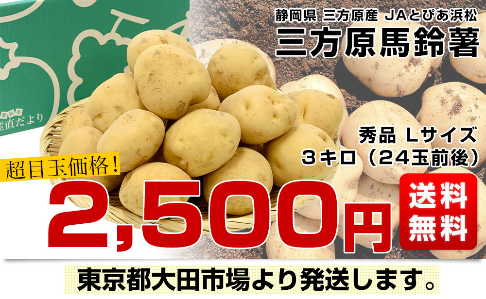 北海道産 JA今金町 じゃがいも 今金男爵 2Lサイズ 約5キロ（22玉前後） 送料無料 馬鈴薯 ジャガイモ 芋 市場スポット
