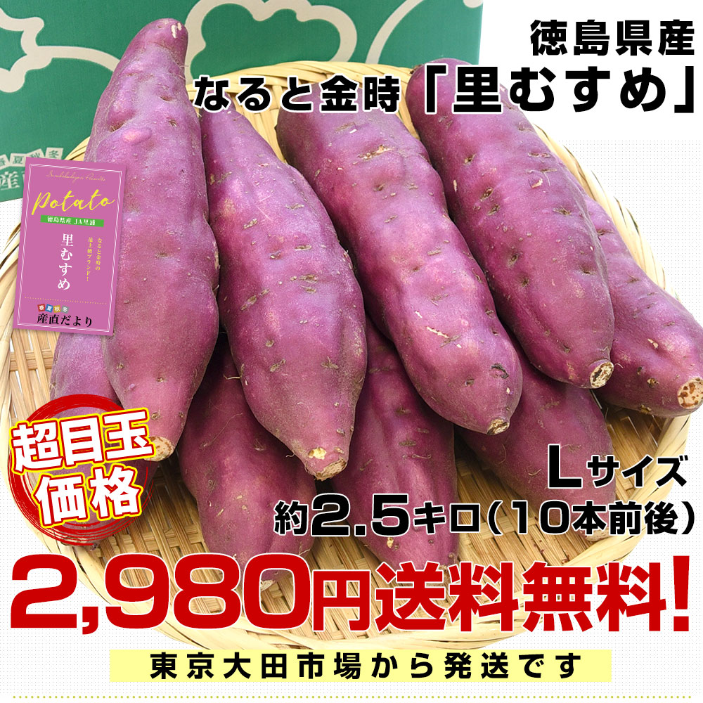 徳島県産 JA里浦 なると金時「里むすめ」 Lサイズ 約2.5キロ 9本前後 送料無料 きんとき さつまいも サツマイモ 薩摩芋 新芋 高系14号  市場発送 | 市場発送商品 | | 産直だより