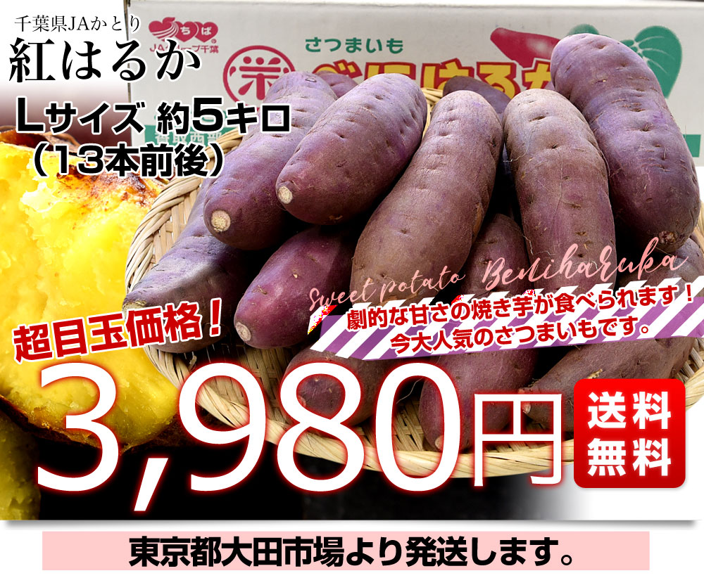 千葉県産 JAかとり 紅はるか Lサイズ 約5キロ 13本前後 送料無料 さつまいも サツマイモ 薩摩芋 新芋 市場発送 | すべての商品 | |  産直だより