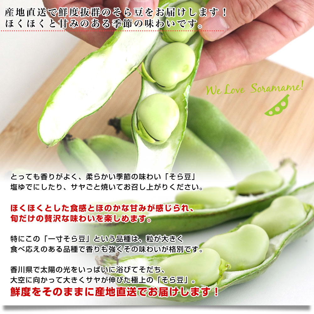 そら豆 30粒 - 野菜