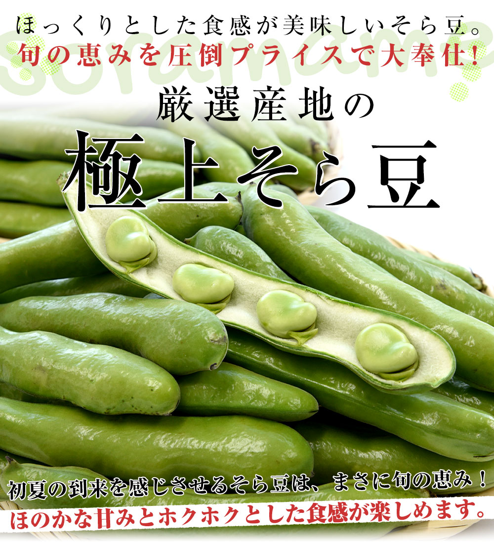 厳選産地の極上そら豆 Lサイズ秀品 ４キロ原体箱 満載詰め（７５本前後） クール便　鹿児島県 熊本県 愛媛県産 他　蚕豆 空豆 天豆  そらまめ-産直だより