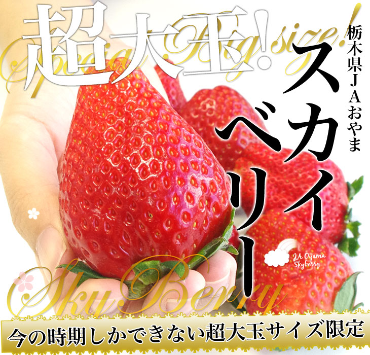 栃木県より産地直送 JAおやま スカイベリー 超大粒 1箱 300g×２P (5粒から６粒×２P) いちご イチゴ ※クール便  栃木県から産地直送,JAおやま 産直だより