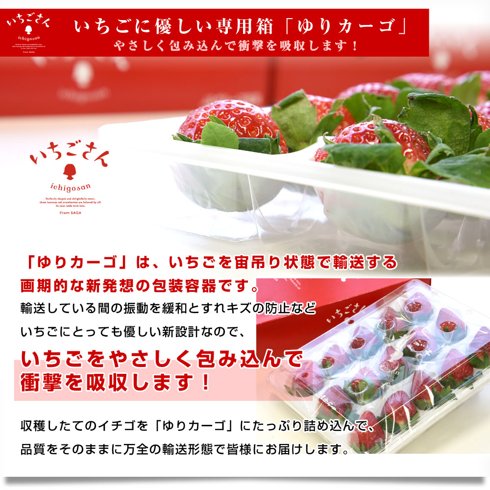 佐賀県より産地直送 JAからつ いちごさん DX 450g 15粒から18粒 苺専用 