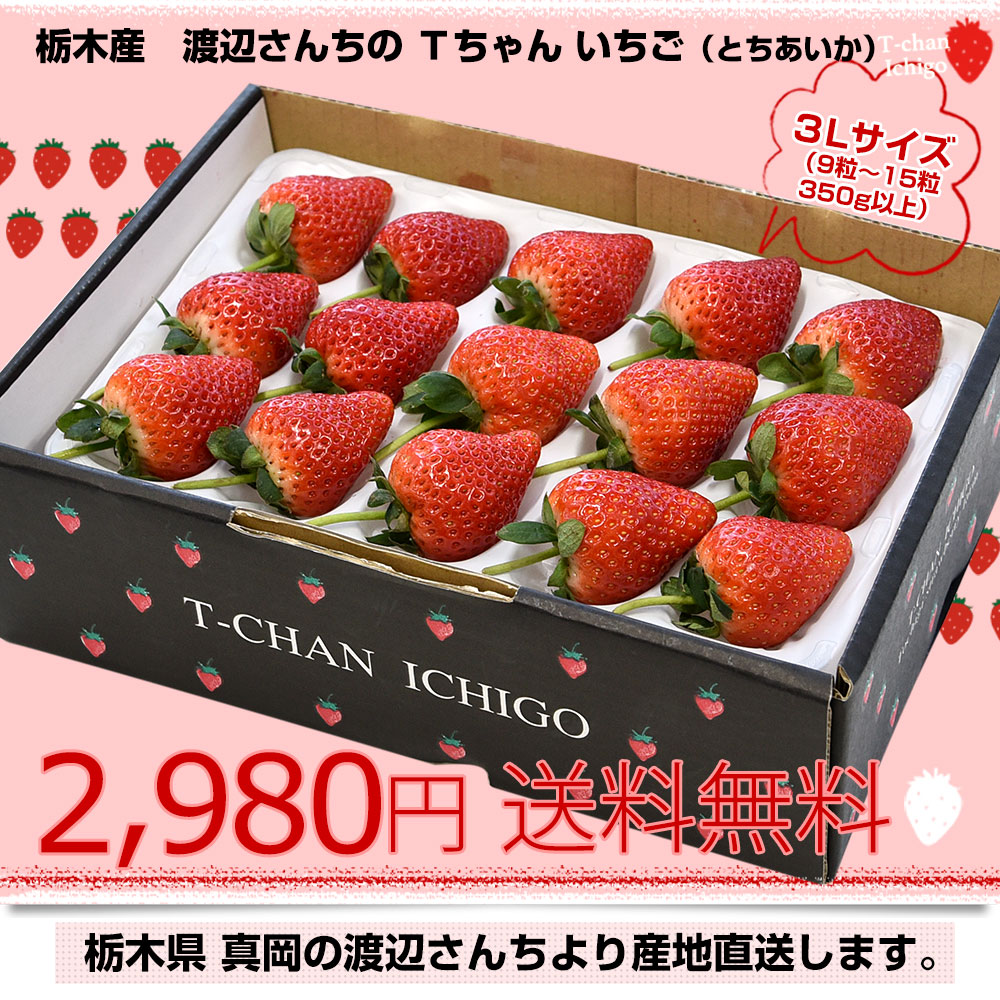 4kg送料1000円栃木県産　冷凍いちご　50kg(業務用)