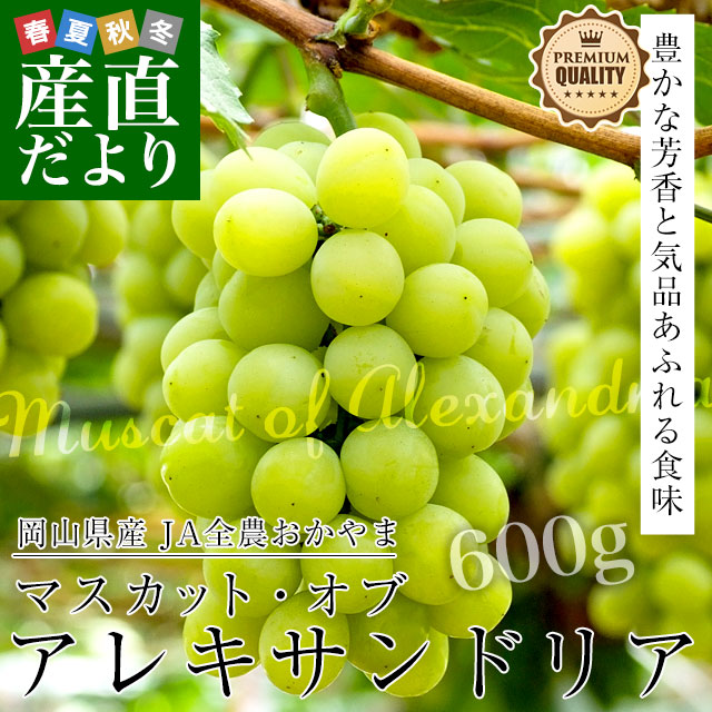 쥭600g