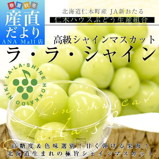 北海道から産地直送 JA新おたる 仁木ハウスぶどう生産組合 シャインマスカット「ラ・ラ・シャイン」1房(700g以上)化粧箱 送料無料(離島など一部地域を除く) ギフト クール便