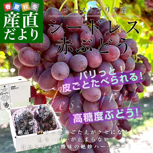 ɥ쥹֤֤ɤ