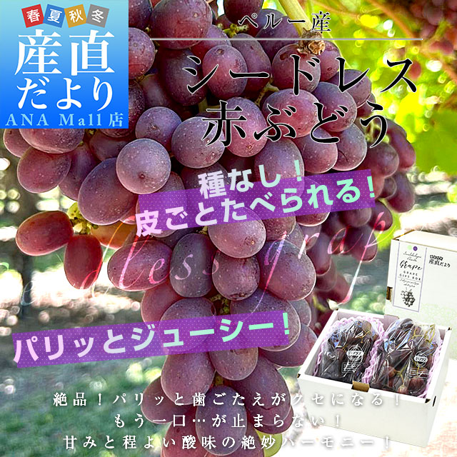 皮ごと食べられる！シードレス赤ぶどう ペルー産 約1.2キロ（約600g×2入）送料無料（離島など一部地域を除く） 種なしぶどう 輸入ぶどう 海外ぶどう