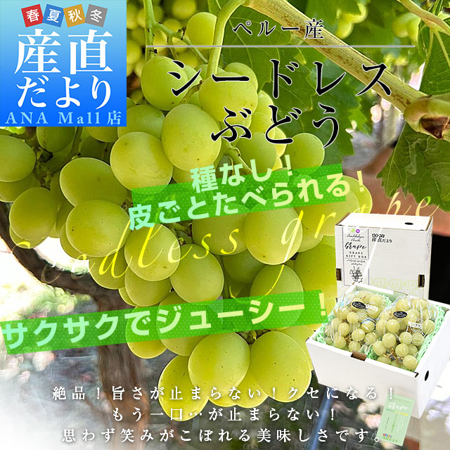 皮ごと食べられる！シードレス緑ぶどう ペルー産 約1.2キロ（約600g×2入）送料無料（離島など一部地域を除く） 種なしぶどう 輸入ぶどう 海外ぶどう