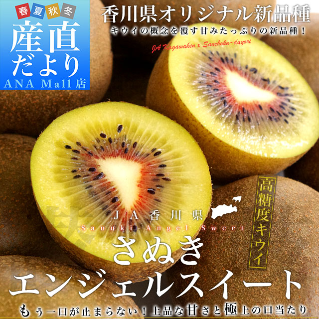 香川県より産地直送 JA香川県 キウイフルーツ さぬきエンジェルスイート 約2.2キロ （24玉から28玉） キウイフルーツ 送料無料(離島などの一部地域を除く)