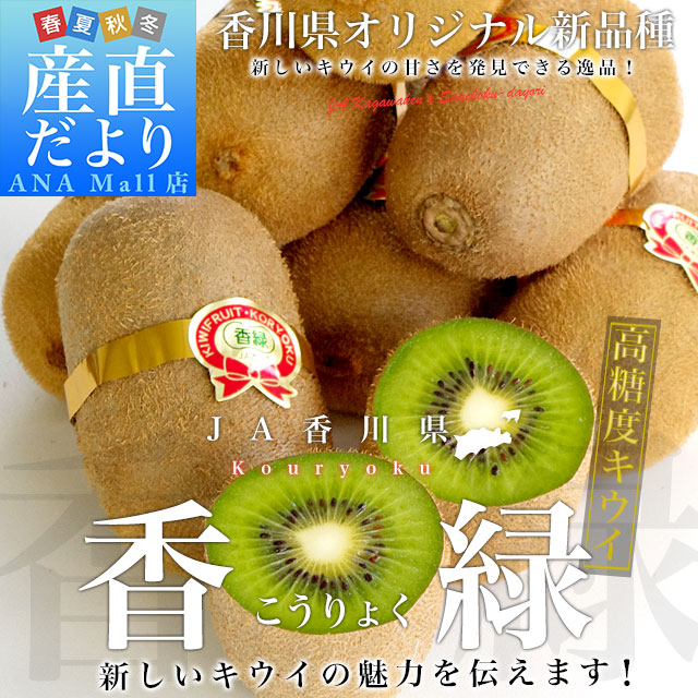香川県より産地直送 JA香川県 キウイフルーツ 香緑(こうりょく) 約1.4キロ化粧箱 送料無料(離島などの一部地域を除く) (7玉から9玉前後)