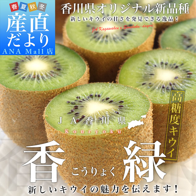 香川県より産地直送 JA香川県 キウイフルーツ 香緑(こうりょく) 約3キロ (20から35玉前後) 送料無料(離島などの一部地域を除く)